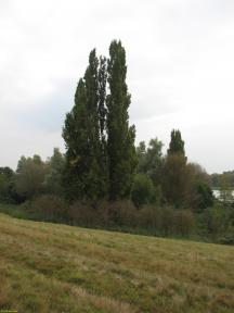 Greenwich Meridian Marker; England; Hertfordshire; Ware (Easnye Estate)